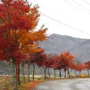 송하초등학교 이미지