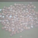 백초당한의원 이미지