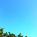 만년소녀 Daum카페