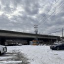 통영굴밥 | 용인 맛집 석화와 생굴 무침 유정이네통영굴밥 내돈내산 후기