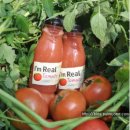 새늘농원 이미지