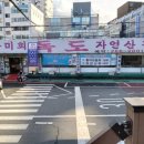 독도참가자미회 이미지