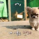 예