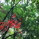 대운한방병원 이미지