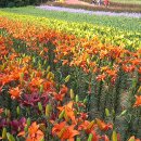 당암주유소 이미지