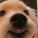 돈워리비해피 이미지