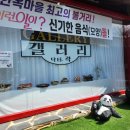 [전주 한옥마을] 식스센스 돌갤러리 내돈내산 후기