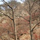 소요산탑 이미지