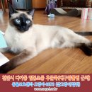 천안일봉초등학교 이미지