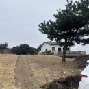 언덕위의하얀집 | [제주]동쪽 조천 10만원대 가성비 독채 숙소 서늘선흘 내돈내산 솔직 후기