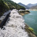 검불 | 춘분(春分)인사말, 날씨,개요,유래,풍속,내용, 경칩(驚蟄)과 청명(淸明) 사이,농가월령가(農家月令歌)2...