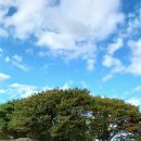 하늘공원 Daum카페