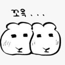 더 북스