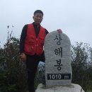 한씨네 이미지