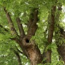 _나루터로2-7_ 이미지