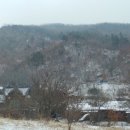 어울림편백펜션 이미지