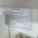 라면스토리&해피라이스