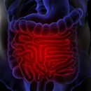 은행나무한의원 이미지