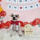 땡자네 묭실 이미지