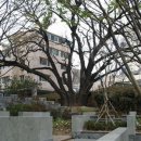 괴정1동-3 이미지