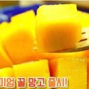 좋은 쇼핑몰