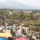 곡성-141 이미지