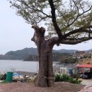 곰소초교 이미지