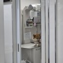 땡큐동물병원 이미지