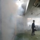 피톤골프 이미지