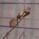 통일농장 이미지