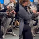 홈종합동물병원 이미지