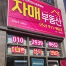 번영공인중개사사무소 이미지