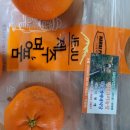 규리 농장 이미지