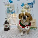 고모네통닭 | Bye_12월