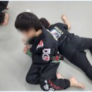 화랑합기도 특공무술 이미지