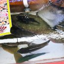 백번상회 이미지