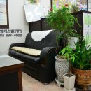 건영캐스빌 공인중개사사무소 이미지