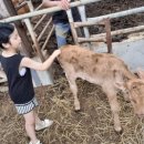 재윤농장 이미지