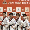 연세경인 태권도 이미지