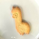 파차 | 구리 알파카 카페 파차 방문 후기(평균 주 1회 방문)