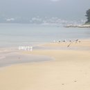유화공인중개사사무소 이미지