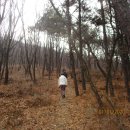 임학사거리 이미지