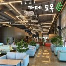 경산묘목 | 경산 진량 카페 추천 | 넓고 여유가득한 분위기 | '카페 묘목' 방문 후기