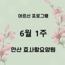 (주)효사랑요양원