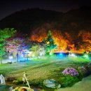 메사 캠핑장 Daum카페