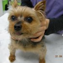 정원 양한방동물병원 이미지