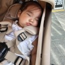 누비 | 누비앤타보 레노2 리얼 내돈내산 후기
