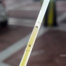 노은점 기아오토큐(주) 이미지