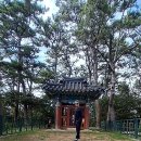 정운공순의비 이미지