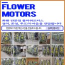 자인모터스 이미지